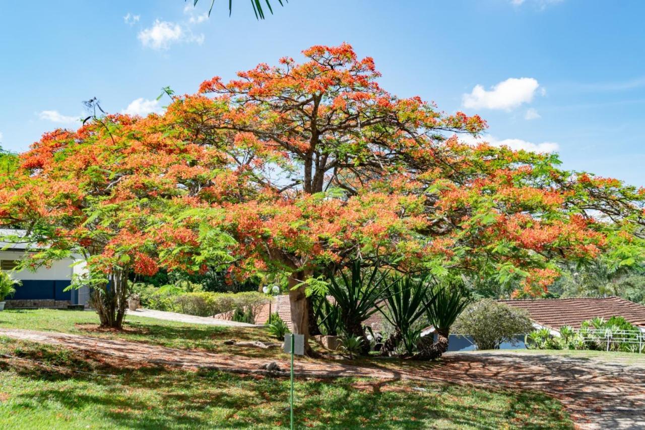 Lindóia Villa Do Sossego Pousada מראה חיצוני תמונה